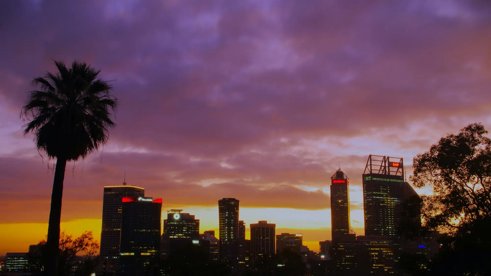City skyline at dusk behind a palm tree, the kind of view an owner sees while a property sits on the market